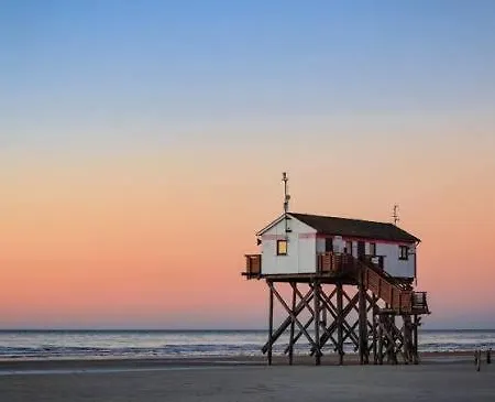 Amselnest Sankt Peter-Ording